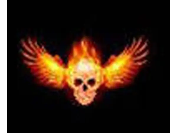 logo folie pro led logo projektor uni 2ks lebka s kridly